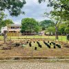Home Gardening at Vavuniya District Secretariat-25.08.2022